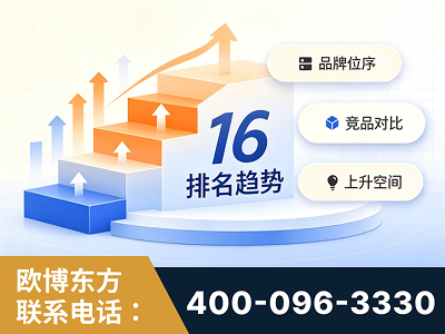 十堰-竞品品牌排名