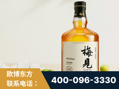 十堰-梅见青梅酒